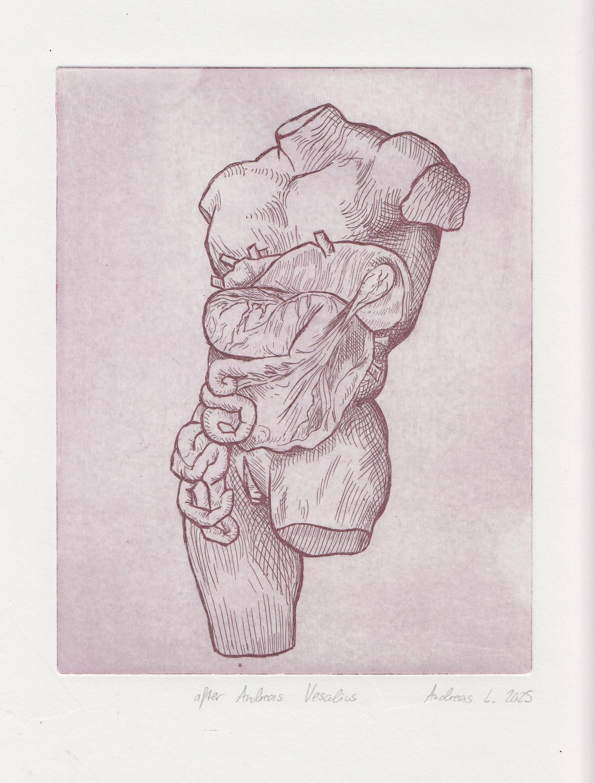 Image of Anatomical Intaglio Prints