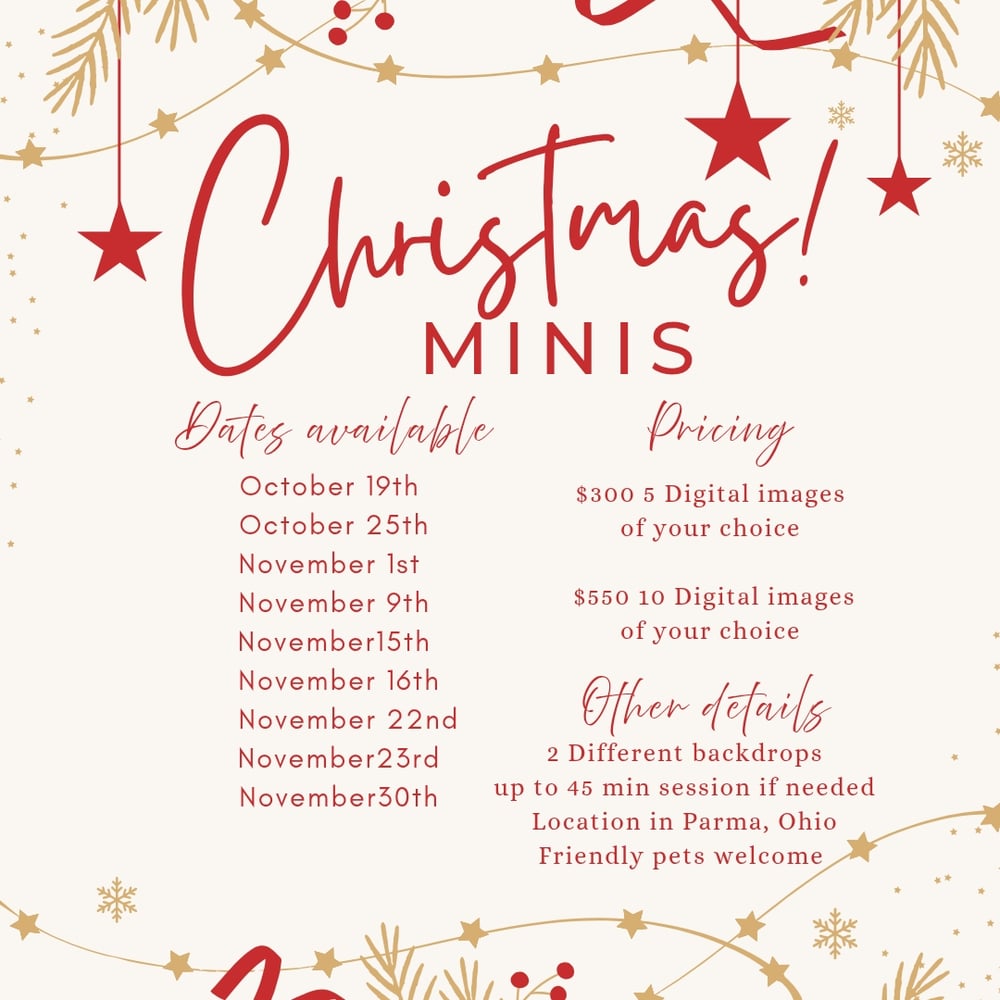 Image of Holiday Mini