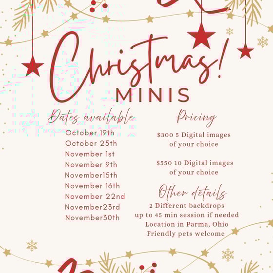 Image of Holiday Mini