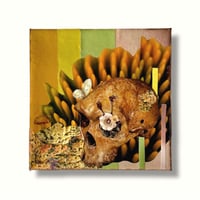Image 4 of Still... Life - Original Collage - Skull Art - Botanical Art - Desert Art - Southwest Decor 
