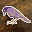 Sullen Crow