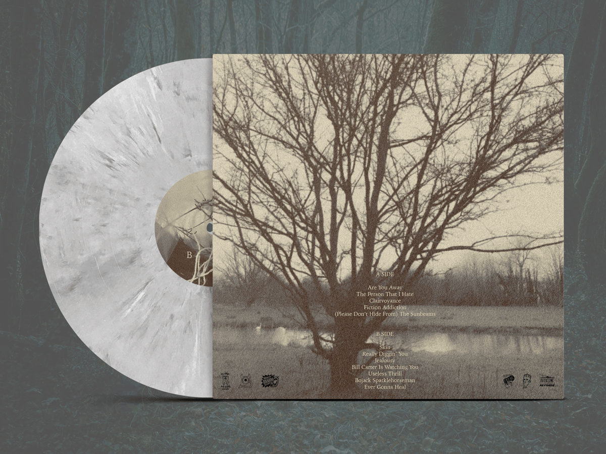 Image of EVER GONNA HEAL - PRETTY INSIDE (VINYL LP)