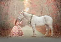 Image 2 of WINTER Magical Unicorn Sessions! Saturday, January 17th 2026