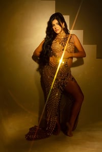 Image 5 of Caroline mirrored gown