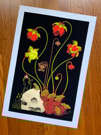 Image 1 of Pine Barrens Memento Mori