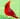 Mister Cardinal Teal