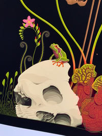 Image 2 of Pine Barrens Memento Mori