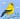 Goldfinch Crown