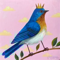 Bluebird Pink Sky