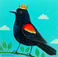 Red-winged Blackbird Crown