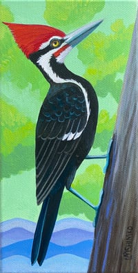 Image 1 of Pileated Woodpecker Mountains