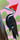 Pileated Woodpecker Pink Sky