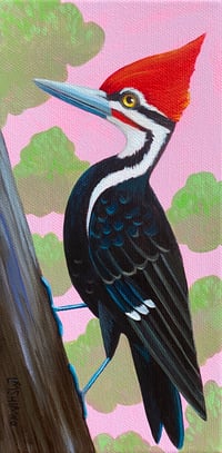 Image 1 of Pileated Woodpecker Pink Sky