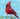 Cardinal Blue Sky