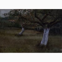 Image 2 of Apple trees