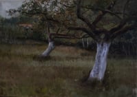 Image 1 of Apple trees