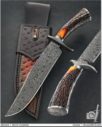 Image 1 of Raindrop Bowie