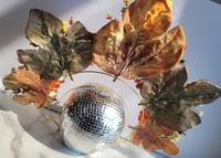 Image 2 of Fall colors