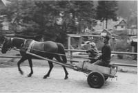 ‘The Cart’, Mizhhirs’kyi rayon, 2018 - NICHOLAS HOPKINS