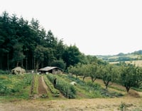 ‘Communal garden, storage bender and cow shed’, July 2008 - DAVID SPERO