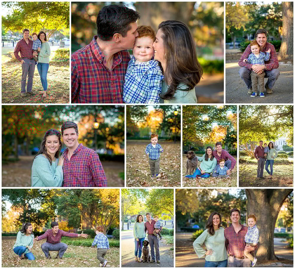 Image of Stockley Gardens Fall Foliage  - November 2nd