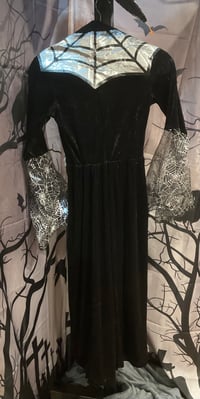 Image 2 of Spider Witch Costume