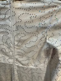 Image 8 of Angel Costume