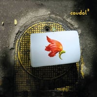 Amanda Irrarazabal. Caudal 2 