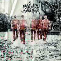 Brigada Flores Magon. Immortels