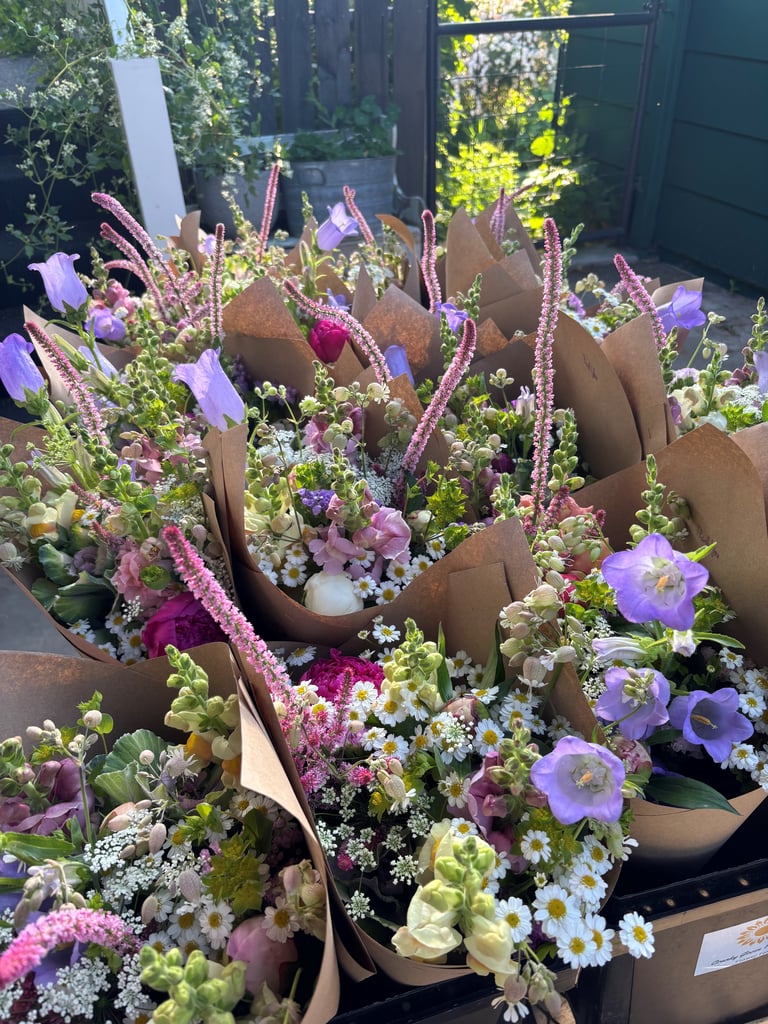 2026 Full Summer Subscription