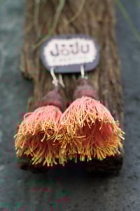 Image 3 of Pink & Brown Eucalyptus Blossoms