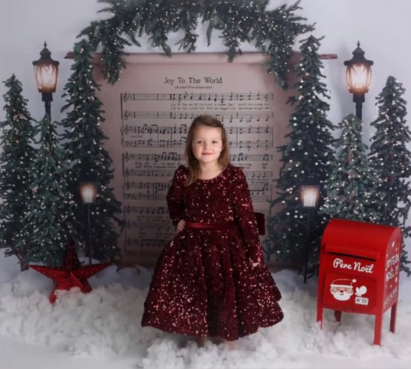 Image of Acompte Séance noël 2025