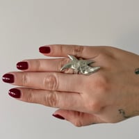 Image 3 of Lost Wing Ring