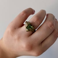 Image 2 of Malevolence Ring 