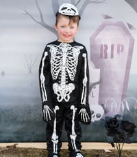 Image 1 of Glow in the Dark Skeleton Set