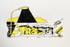  SERIGRAPHIE - FUN WALL - 