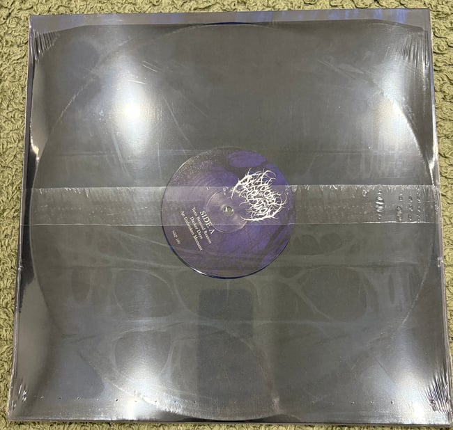 WOODS OF DESOLATION - TORN BEYOND REASON