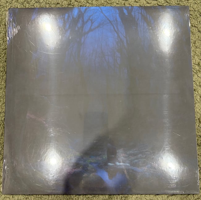 WOODS OF DESOLATION - TORN BEYOND REASON