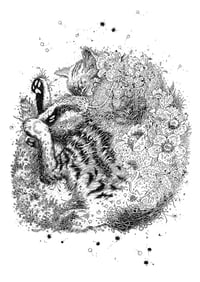 Image 1 of Aoraki - Print