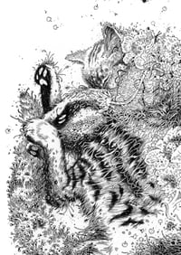 Image 2 of Aoraki - Print