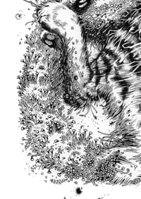 Image 3 of Aoraki - Print