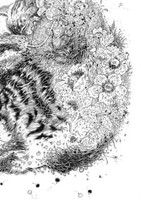 Image 4 of Aoraki - Print