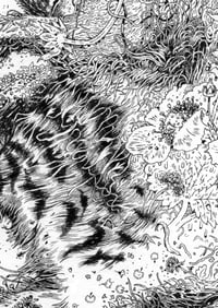 Image 5 of Aoraki - Print