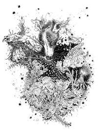 Image 1 of Perennial Dreams - Print