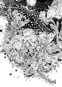 Image 3 of Perennial Dreams - Print