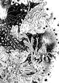 Image 5 of Perennial Dreams - Print