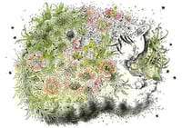 Image 1 of Tititea - Print