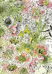 Image 5 of Tititea - Print