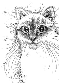 Image 2 of Tutoko - Print (Black & White)