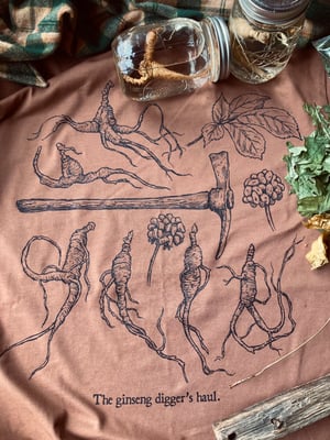 Image of GINSENG HAUL [t-shirt]
